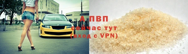 a pvp Бородино
