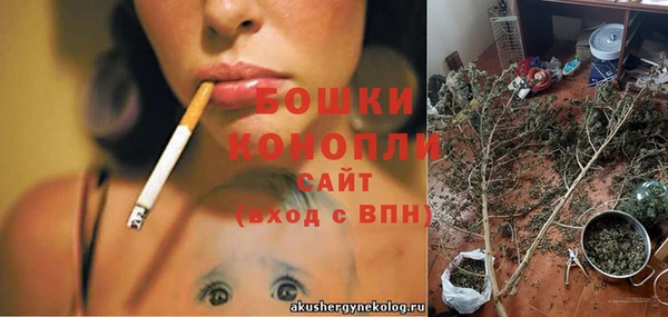 a pvp Бородино