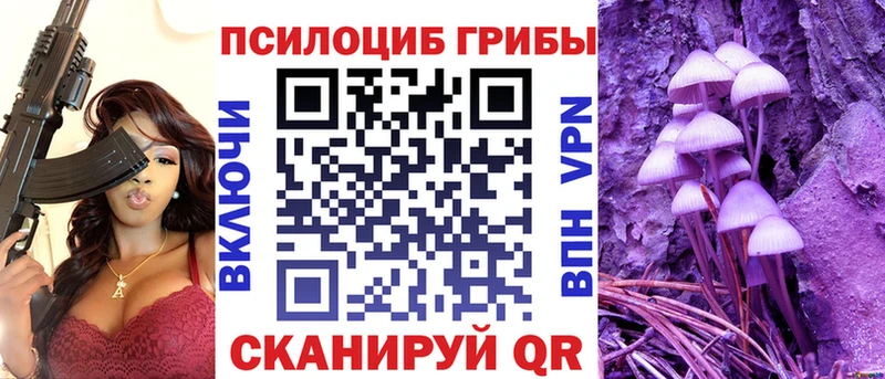 kraken сайт Дивногорск Галлюциногенные грибы Psilocybe